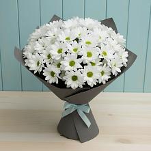 Букет цветов из:  Хризантемы #REPLACE_PRED# Рождествено