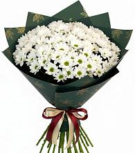 Букет цветов из:  Хризантемы #REPLACE_PRED# Рождествено