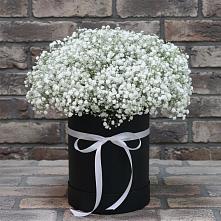 Цветочная композиция из Гипсофила в шляпной коробке #REPLACE_PRED# Рождествено