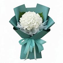 Букет цветов из:  Гортензия #REPLACE_PRED# Рождествено